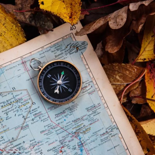 compass online how to use it